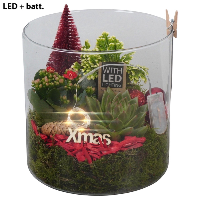 <h4>Christmas Arrangement 19Ø 23cm</h4>