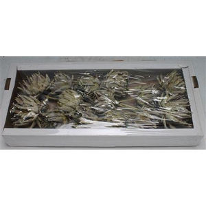 Artichoke Dark Green Frosted