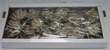 <h4>Artichoke Dark Green Frosted ( X 14 St )</h4>