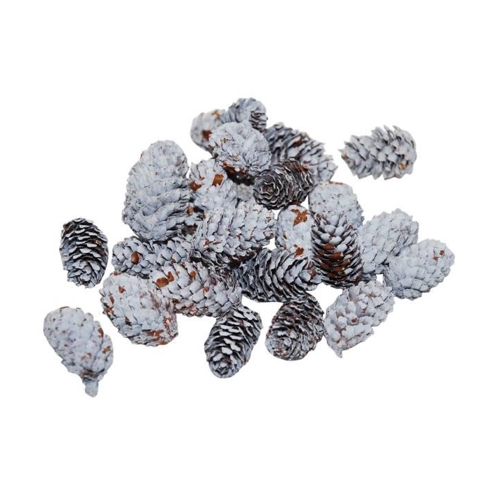 <h4>Pinecone Mini Spruce 180g L4</h4>