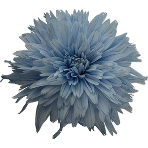 CHR G SPIDER DELFT BLUE