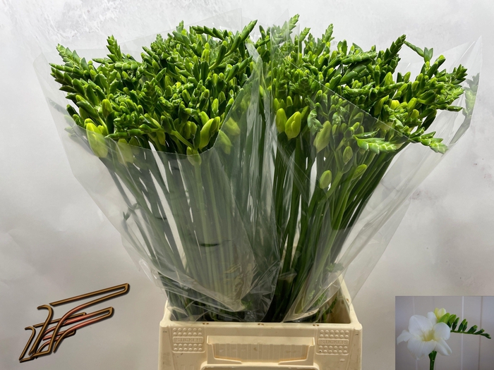 <h4>FR EN AMBIANCE</h4>