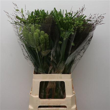 <h4>Siergras   ...mix in fust</h4>