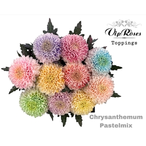 CHR G Paint PASTELMIX