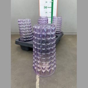 GLAS VAAS RIBBEL LILA H20XD11