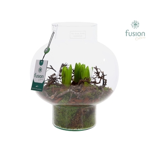 Green Bottle Laura met hyacinten