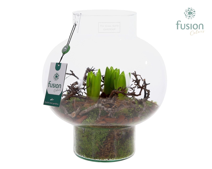 <h4>Green Bottle Laura met hyacinten</h4>