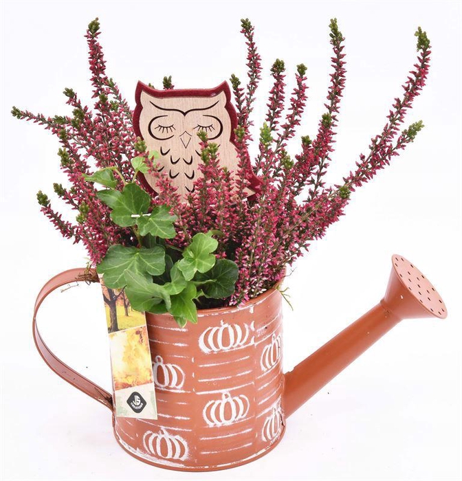 <h4>Zink gieter oranje pompoen dec 12cm</h4>