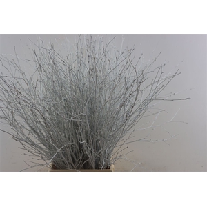 Berk 70cm Wit Pbs