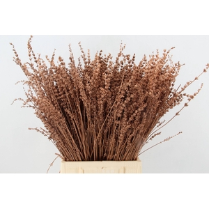 DF Lavender Bs Copper