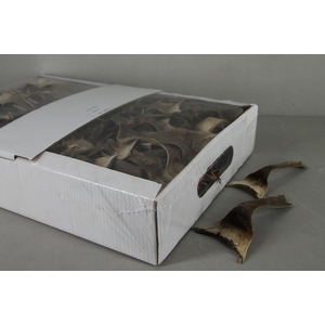 DD Agave Mini Natural Box