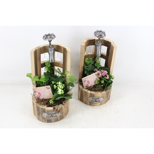 arr2 TD - Hout waterput - roze/wit