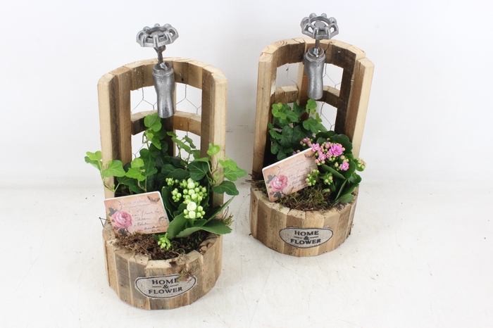 <h4>arr2 TD - Hout waterput - roze/wit</h4>