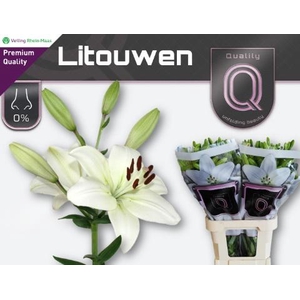 LI LA LITOUWEN