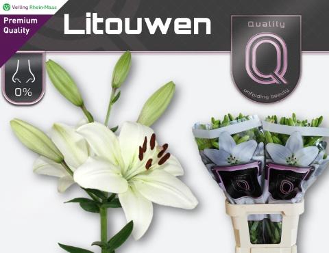 <h4>LI LA LITOUWEN</h4>