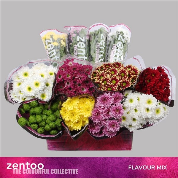 <h4>Chr T Mix Flavour Zentoo</h4>