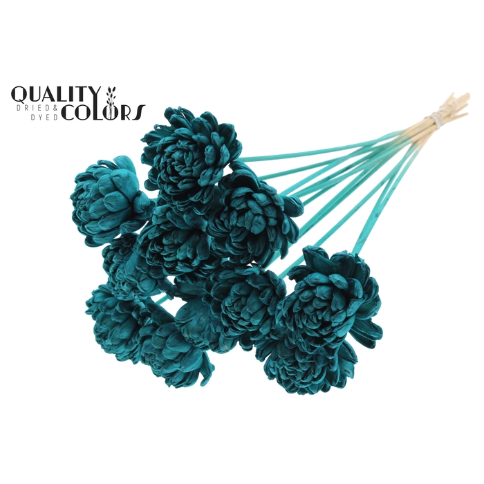 <h4>Shola New Beauty Rose Ø8cm on stem Turquoise</h4>