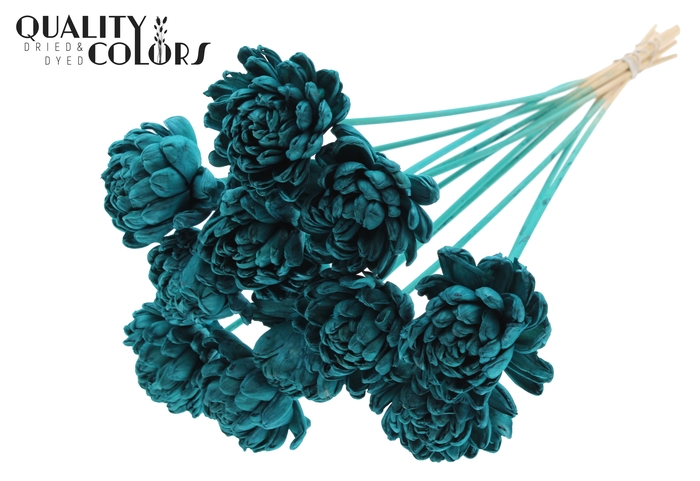 Shola New Beauty Rose Ø8cm on stem Turquoise