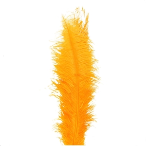 Veren Struisvogel 55cm x5