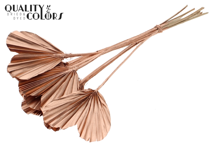 Palm Spear Heart per stem Copper