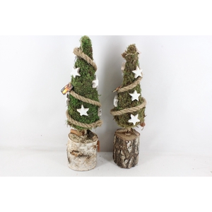 arr5 Kerst MBK572 - Mos boom ster L