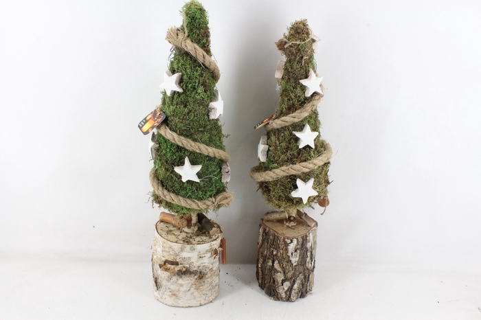 arr5 Kerst MBK572 - Mos boom ster L