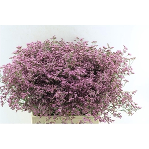 Lim Piuma Pink Touch