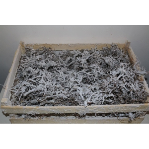 Bonsai Wood Snow P Crate