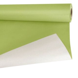 Papier betterave vert (57I0006)