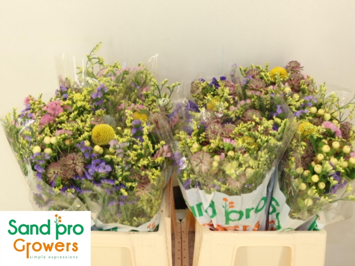 <h4>GEM ZOMERBOEKET</h4>