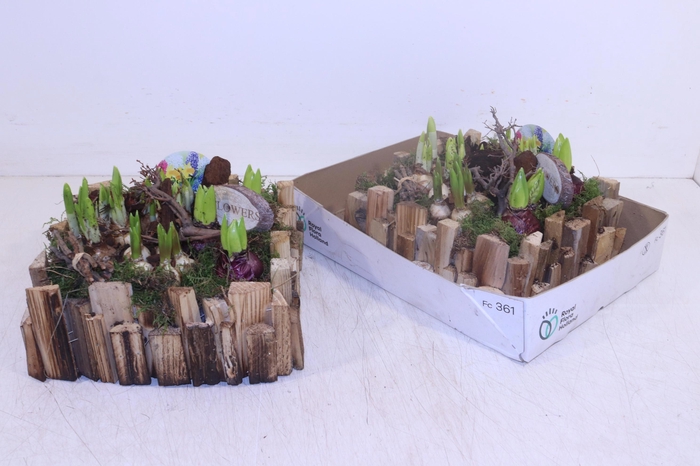 <h4>ARR BOL KNOLGEWAS</h4>