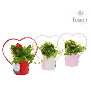 LED planter zink Hartvorm met arrangement