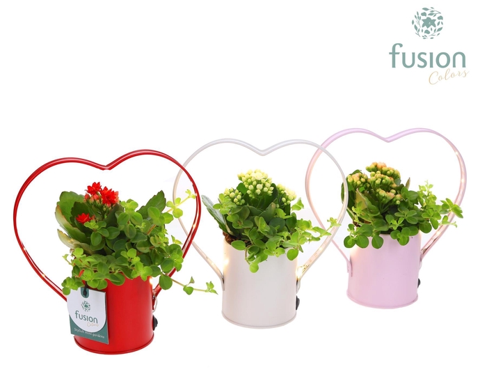 <h4>LED planter zink Hartvorm met arrangement</h4>