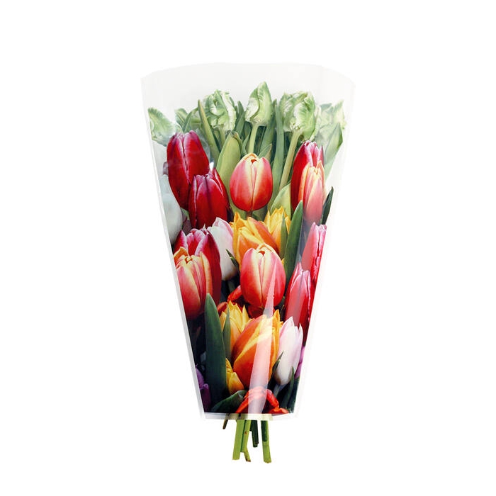 <h4>Hzn 40x30x12cm Opp35 Tulip Mix Full Color</h4>