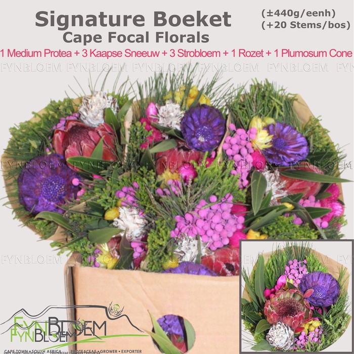 <h4>PROTEA PER BOS</h4>