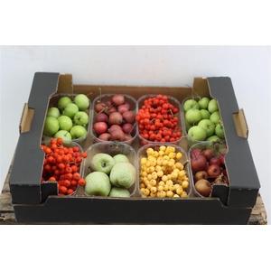 Sier Sorbusbes Malus Mixed X8