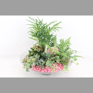 arr2 PL - Glas schaal 30cm - roze