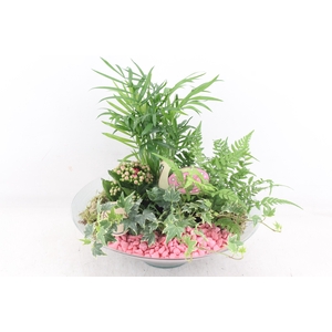 arr2 PL - Glas schaal 30cm - roze