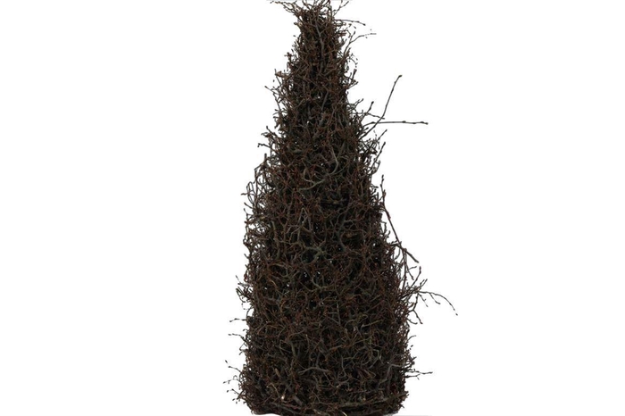 <h4>Deco Cone Bonsai H110 Naturel</h4>