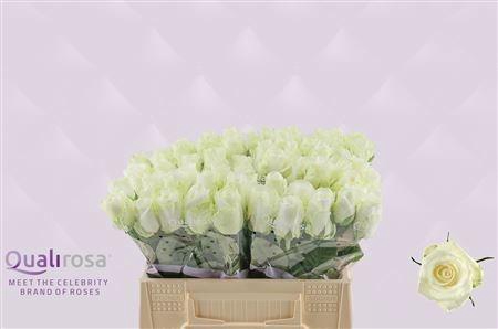 <h4>R GR COUNTDOWN!</h4>