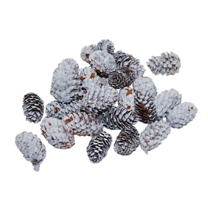 Pinecone Mini Spruce 180g L4