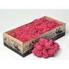 Mos Rendier Fuchsia Gepr 500gr