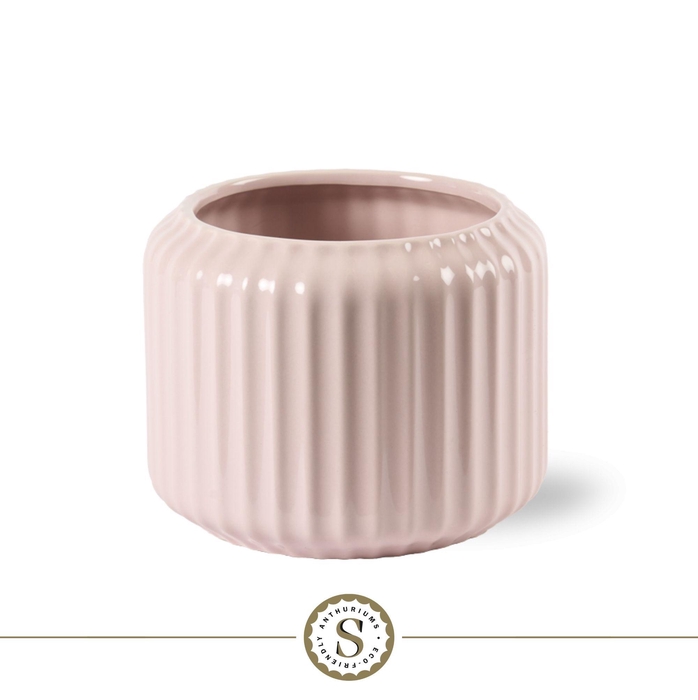 <h4>Creations) Bologna Keramiek Pink</h4>