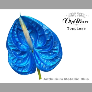 ANT A METALLIC BLUE