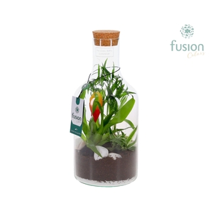 Green Bottle Fles Small met arrangement