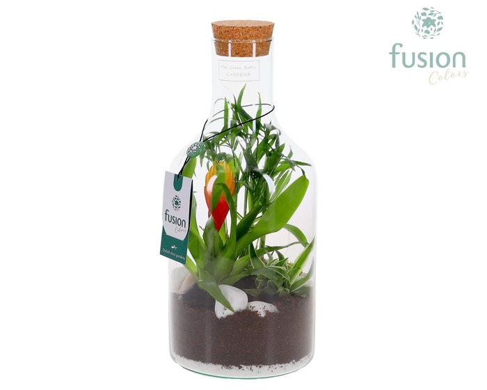 <h4>Green Bottle Fles Small met arrangement</h4>