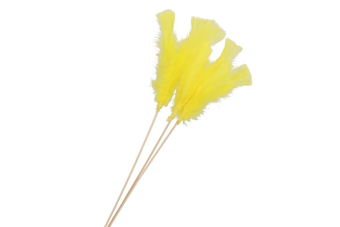 Feathers Yellow On Stick 50cm P/50 Nm