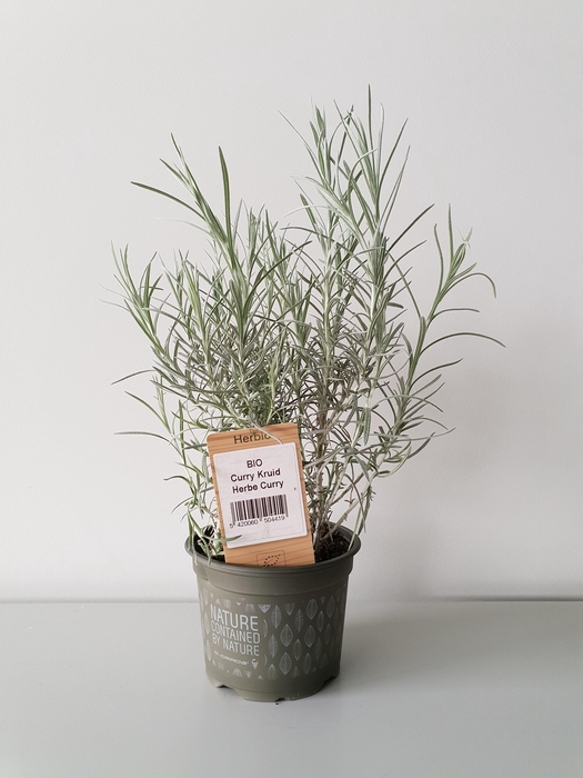 <h4>Curry kruid P12 HERBIO steker</h4>