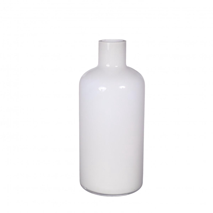 <h4>Glass vase Lupin d2/11*25cm</h4>