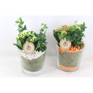 arr2 PL - Glas pot zwaar - oranje/wit